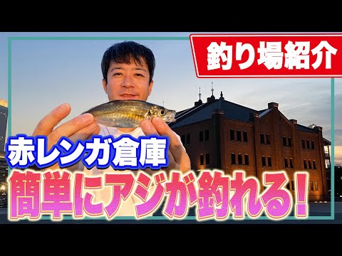 【横浜新港】アジが釣れるのに釣り場はガラガラ... 中学生もアジGETで大喜び！