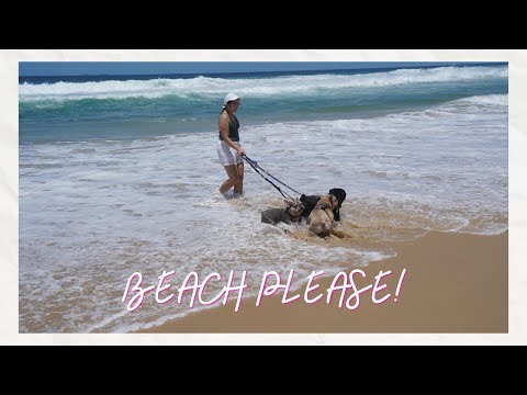 Cooper's Lookout Beach Adventure | Sheila Defino-Fernandez