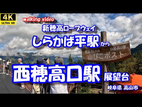 しらかば平駅 から 西穂高口駅 【お散歩シリーズ】 岐阜県 奥飛騨温泉郷 新穂高温泉 新穂高ロープウェイ  24年9月20日