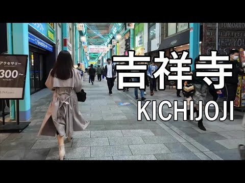 【Night walking】暮らしと自然が共存した街、吉祥寺を散歩 Walking in KICHIJOJI of Tokyo, where life and nature coexist