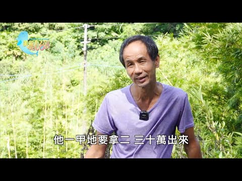 【新北市貢寮區】農業鋼鐵人楊振鑫 復耕貢寮水梯田 | 有機無毒 | 358 | #美麗心台灣