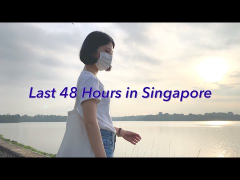 Last 48 Hours in Singapore 新加坡国庆特别企划 🇸🇬  National Day Special