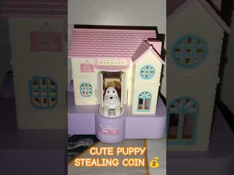 Saving House Cute Puppy Stealing coins 💰#shortsfeed #shorts #trending #viralvideo #satisfying #asmr