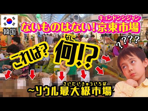 English subtitle【韓国】日本で高級食材のアレを大量GET！？＜とっくんトラベラーズ＞