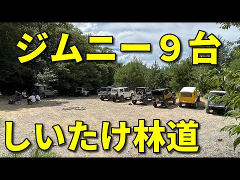 謹賀新年【ジムニー9台でしいたけ林道】