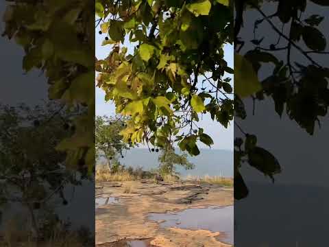 Plateaus of the centre #travel #madhyapradesh #pannatigerreserve #nature