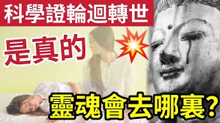 #佛禪 科學證實！人死後「49天就會轉世投胎」靈魂永生不滅！是真的是存在！肉身如衣服「神識何去何從？」知道真相！你會變了另一個人！