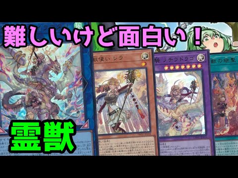 【#遊戯王】最高の強化を貰って1枚初動に！展開ルートがあまりにも難しいテーマ『霊獣』紹介します！