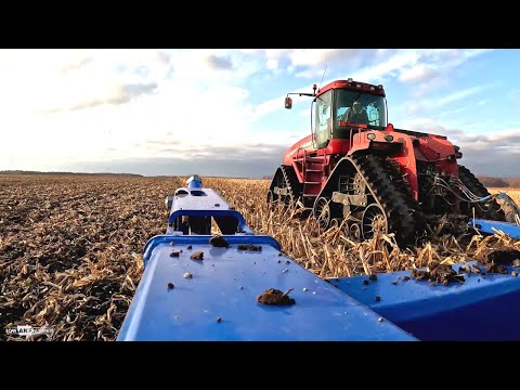 CaseIH Quadtrac pulls Landoll VT - Fall tillage - Burned corn field update - Puppies!