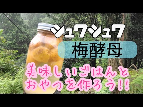 【酵母生活】梅酵母を活用して夏を爽やかに乗り切ろう/天然発酵炭酸飲料