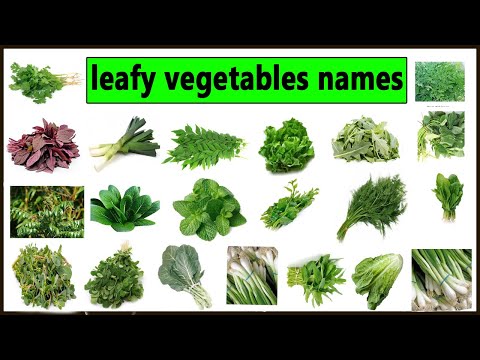 List of Edible leaves names with pictures . Types of greens to cook. Types of Leafy greens. Kale,