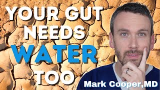 Dehydration Affects on Gut Health