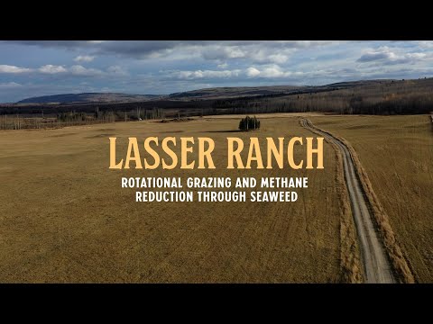 Organic Innovation Series Episode 5: Rotational Grazing & Methane Reduction  - Lasser Ranch