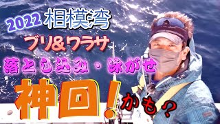 相模湾 落とし込み泳がせブリ＆ワラサ 神回!?