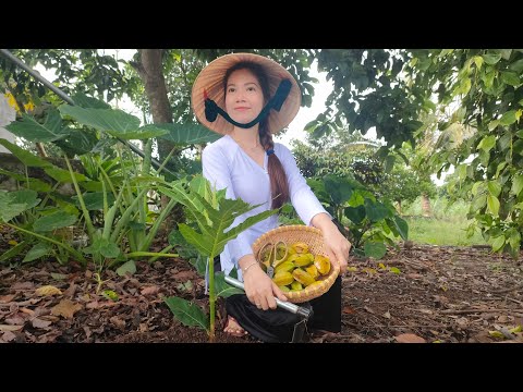 Beautiful woman gardening, Organic village life, Farming & garden life #farming #womangardening