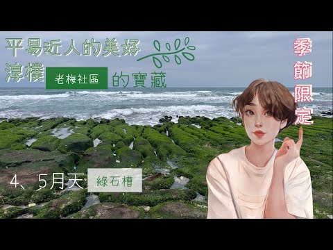 [台灣trip]新北石門「老梅石槽」🪨我心中最美的台灣海灘🌊可愛社區裡的秘境珍寶💎期間限定💎