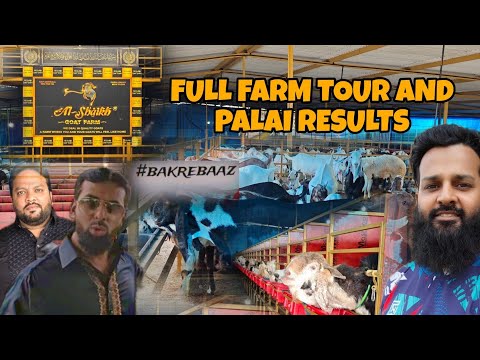 AL SHAIKH GOAT RESORT 🐐 FULL FARM TOUR WITH PALAI RESULTS INDIA'S 🇮🇳 FIRST GOAT RESORT 🐐 MUST VISIT