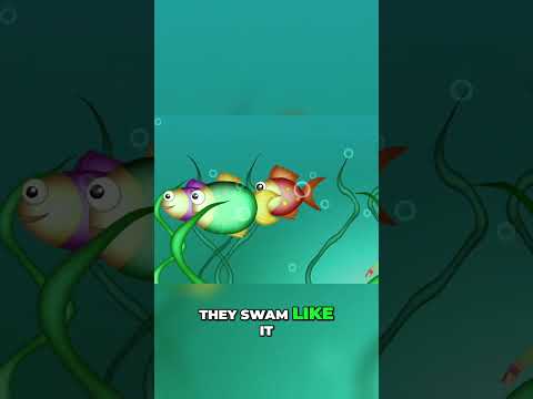 Swimming Adventure: 3 Little Fishes Journey to the Sea