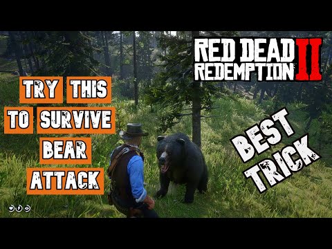 HOW TO SURVIVE BEAR ATTACK EASILY ??? Red Dead Redemption 2 PC Story Mode RTX 2060 + Ryzen 5 3600