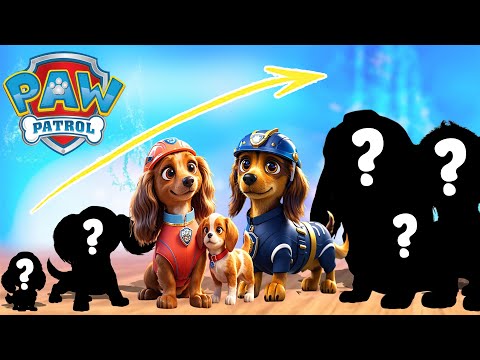 Paw Patrol Full charracter Growing up Compilation | Cartoon Wow