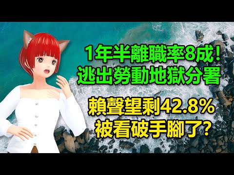 1年半離職率8成！逃出勞動部地獄分署｜賴清德聲望剩42.8%！被看破手腳了？🍓20241119 #高雄林小姐 #Vtuber​​​​ #台灣Vtuber​​​ #台V