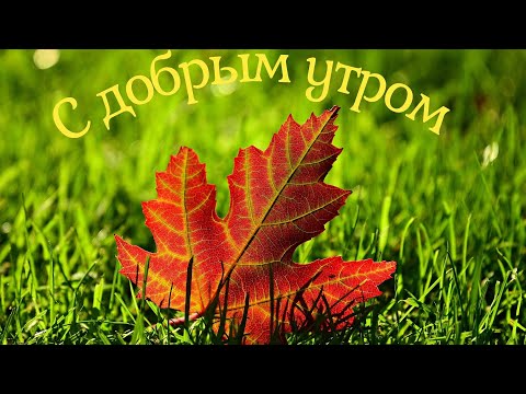 С ДОБРЫМ УТРОМ #доброеутро #музыкальныеоткрытки