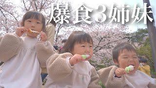 【爆食3姉妹！】初めてのお花見に密着！桜に全く興味なしでとにかく食べる3姉妹!【1.2.4歳児】