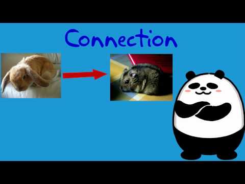 Connecting Two Pieces of Information in a Text (Part 1) | 1st Grade Reading | eSpark Instructional