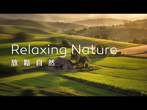 放鬆音樂Relaxing Music｜眺望一片綠意，療癒減壓，感受無比的心曠神怡