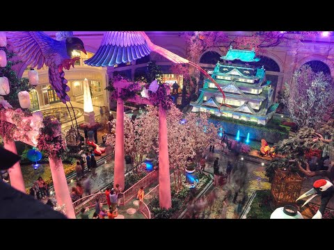 EarthCam Live: Bellagio Conservatory & Botanical Gardens (Las Vegas, NV)