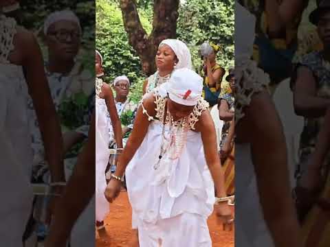 Carnaval International de Ouidah #tourism #youtubeshorts #vlog #travel #africa