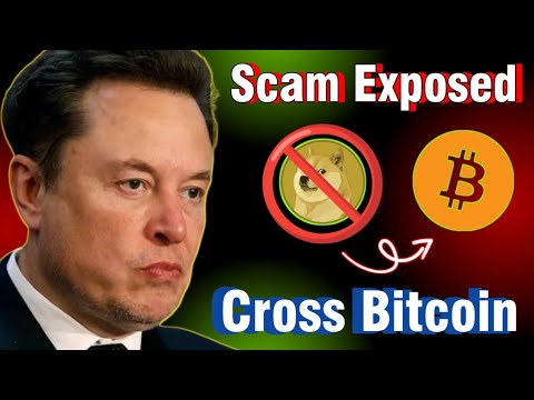 Elon Musk Big Scam Exposed Doge Coin | Doge Coin Price Cross 💰 Bitcoin 2025 Bitcoin Today Update