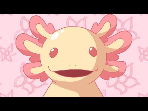 Kisekae | Animation Meme