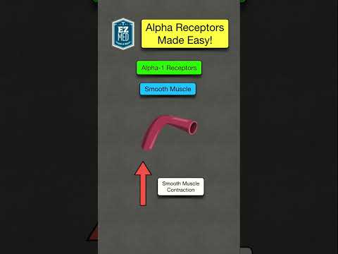 🔥 How to Remember Alpha Adrenergic Receptors in 60 SECONDS! [Nursing & Pharmacology]