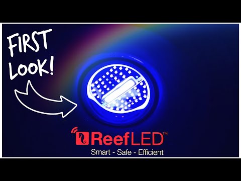 Red Sea ReefLED Aquarium lights - First Look!