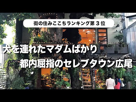 【2024年最新版】広尾・元麻布散歩で立ち寄りたいスポットが丸わかり!!話題のカフェから高級住宅街の豪邸まで歩き尽くす