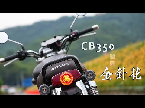 CB350 遇見金針花海 || 苗栗大湖 || 台72 & 台3