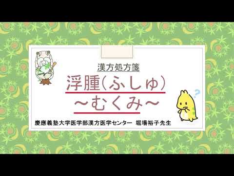 はじめての漢方e-learning 「症状から選ぶ漢方薬」【第12章】 むくみ