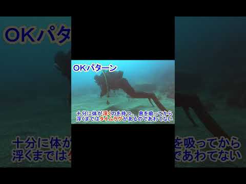 【砂を巻き上げない！】初心者必見ダイビングスキル！着底と移動とフィンキック、中性浮力のポイント_Scuba diving skill & technic #shorts