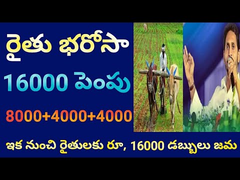 ysr rythu bharosa amount hike 2024 || ysr rythu bharosa amount release date || rythu bharosa 2024