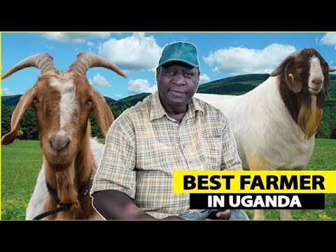 Best Farmer in Uganda. Retired headteacher making millions on his 200 acre farm | Agro tourism