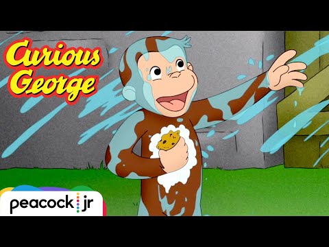 Pool Problems | CURIOUS GEORGE