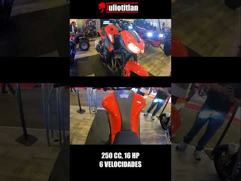 SHORT DINAMO SPEED FIRE SPDF 250 EN EXPO MOTO CDMX ... JULIOTITLAN ...