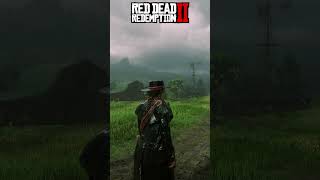 red dead redemption 2 insane graphics details #rdr2 #rdrfunny #rdr2online #reddeadredemption2