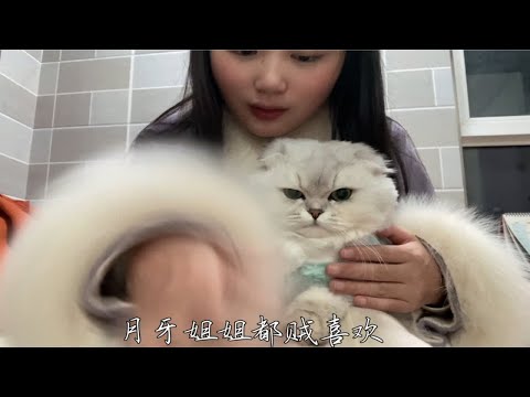 给猫猫看看我新长出来的毛毛