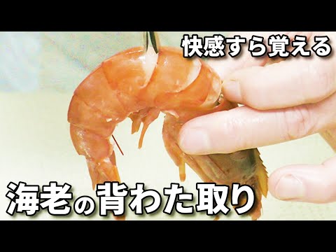 海老の背わたの取り方！1番簡単でおすすめの方法を徹底解説！