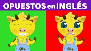 LOS OPUESTOS EN INGLÉS  | CLASE DE INGLÉS PARA NIÑOS AMIGO MUMU