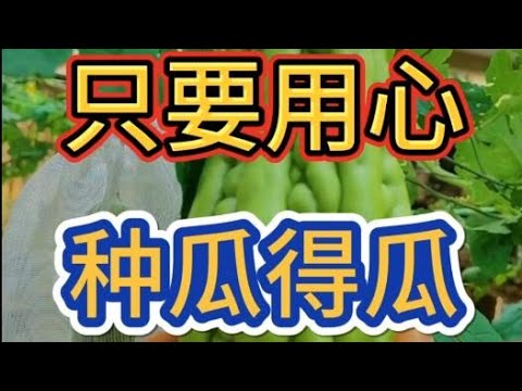 只要用心，种瓜得瓜，种豆得豆。持之以恒，丰硕回报！Just be diligent, grow melons and get melons, and you will get rich rewards