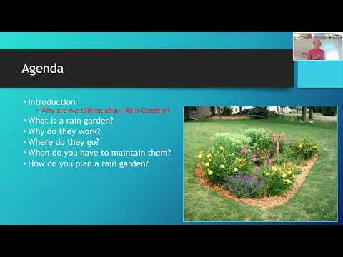 Interrupting Runoff with a Rain Garden - Lake Friendly Living Awareness Month 2023