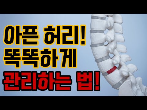 지긋지긋한 허리 통증! 간단한 허리 디스크 관리법! - 이고은의 허리 통증 해방 #7 ㅣ허리통증 나쁜자세 허리충격 허리디스크 디스크관리